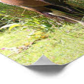 Bob Langrish | Von Blume Stehendes Shetland Pony Poster (Ecke)