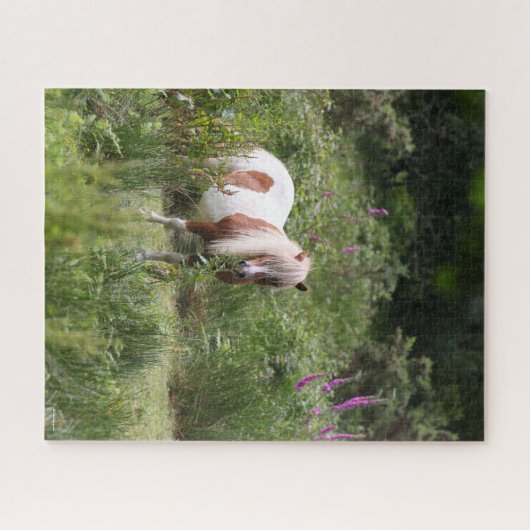 Bob Langrish | Von Blume Stehendes Shetland Pony Puzzle (Horizontal)