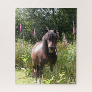 Bob Langrish   Von Blume Stehendes Shetland Pony Puzzle