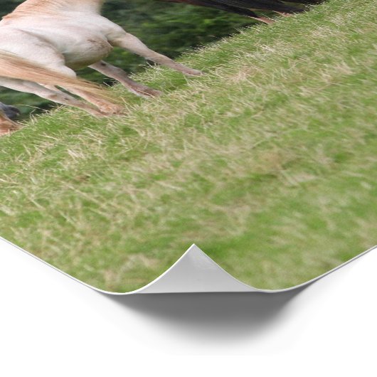 Bob Langrish | Vor Ort Stehende walisische Ponys Poster (Ecke)