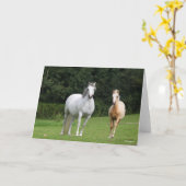 Bob Langrish | Walisische Pony Mare und Foal Karte (Gelbe Blume)