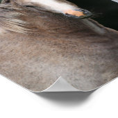 Bob Langrish | Walisische Pony Mare und Foal Poster (Ecke)