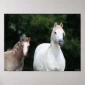 Bob Langrish | Walisische Pony Mare und Foal Poster (Vorne)