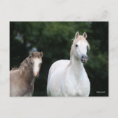 Bob Langrish | Walisische Pony Mare und Foal Postkarte (Vorderseite)