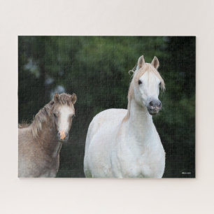 Bob Langrish   Walisische Pony Mare und Foal Puzzle