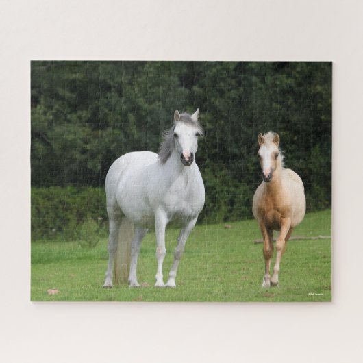 Bob Langrish | Walisische Pony Mare und Foal Puzzle (Horizontal)