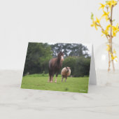 Bob Langrish | Walisischer Pony Mare Stehend mit S Karte (Gelbe Blume)