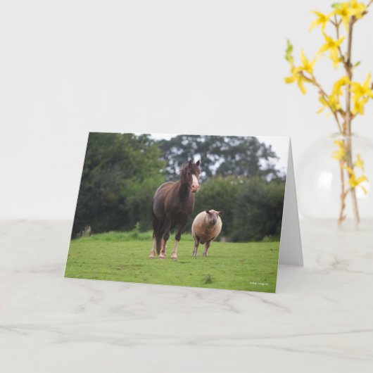 Bob Langrish | Walisischer Pony Mare Stehend mit S Karte (Gelbe Blume)