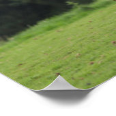 Bob Langrish | Walisischer Pony Mare Stehend mit S Poster (Ecke)