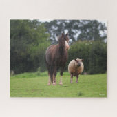 Bob Langrish | Walisischer Pony Mare Stehend mit S Puzzle (Horizontal)