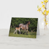 Bob Langrish | Walisischer Pony Mare und Foal Runn Karte (Gelbe Blume)
