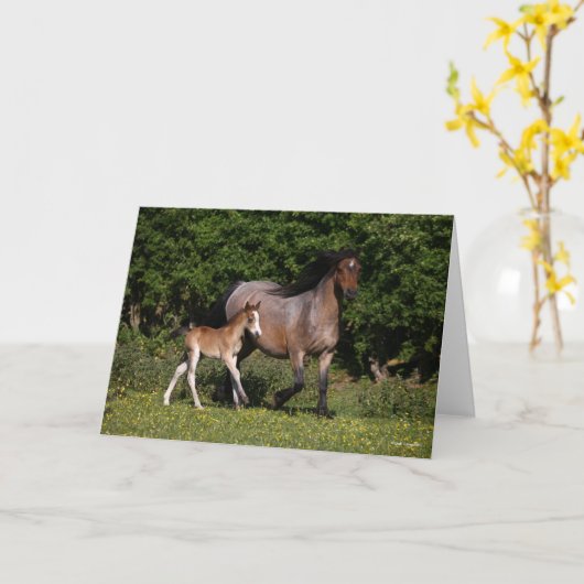 Bob Langrish | Walisischer Pony Mare und Foal Runn Karte (Gelbe Blume)