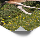 Bob Langrish | Walisischer Pony Mare und Foal Runn Poster (Ecke)