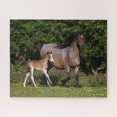 Bob Langrish | Walisischer Pony Mare und Foal Runn Puzzle (Horizontal)