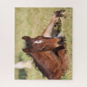 Bob Langrish | Warmblut, das im Gras liegt Puzzle (Vertikal)