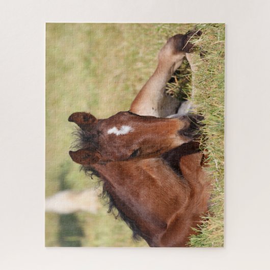 Bob Langrish | Warmblut, das im Gras liegt Puzzle (Vertikal)