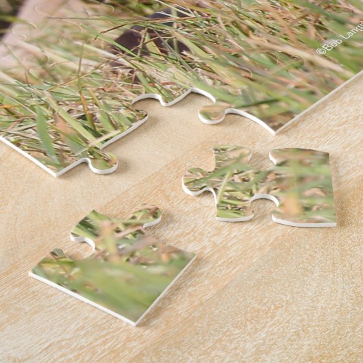 Bob Langrish | Warmblut, das im Gras liegt Puzzle (Seite)