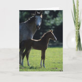 Bob Langrish | Warmblut Mare and Foal Backlit Karte (Vorderseite)
