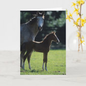 Bob Langrish | Warmblut Mare and Foal Backlit Karte (Gelbe Blume)