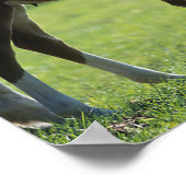 Bob Langrish | Warmblut Mare and Foal Backlit Poster (Ecke)