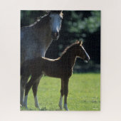 Bob Langrish | Warmblut Mare and Foal Backlit Puzzle (Vertikal)