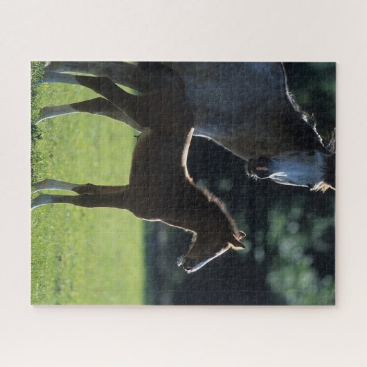 Bob Langrish | Warmblut Mare and Foal Backlit Puzzle (Horizontal)