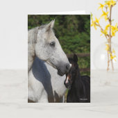 Bob Langrish | Warmblut-Mare- und Fotopapier Karte (Gelbe Blume)