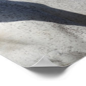 Bob Langrish | Warmblut-Mare- und Fotopapier Poster (Ecke)