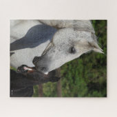 Bob Langrish | Warmblut-Mare- und Fotopapier Puzzle (Horizontal)