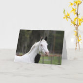 Bob Langrish | Warmblut-Pinto-Pferdekopf Karte (Gelbe Blume)