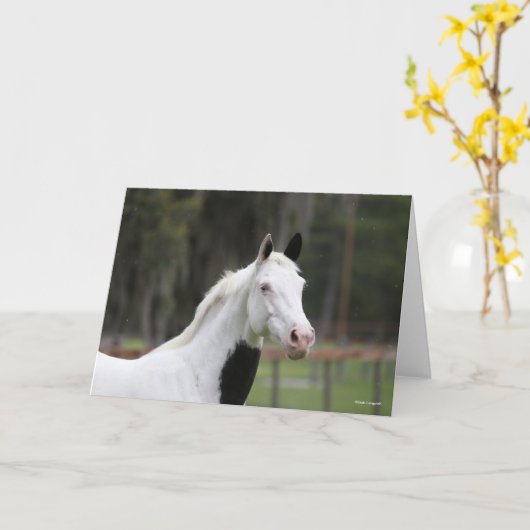 Bob Langrish | Warmblut-Pinto-Pferdekopf Karte (Gelbe Blume)