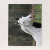 Bob Langrish | Warmblut-Pinto-Pferdekopf Puzzle (Vertikal)