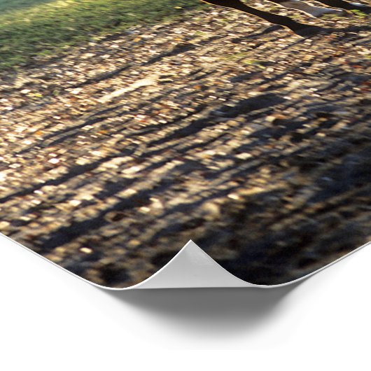 Bob Langrish | Warmblut Stehend Backlit Poster (Ecke)