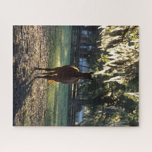 Bob Langrish | Warmblut Stehend Backlit Puzzle (Horizontal)