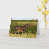 Bob Langrish | Warmblut und Foal Walking Karte (Gelbe Blume)