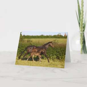 Bob Langrish   Warmblut und Foal Walking Karte