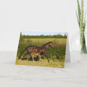 Bob Langrish | Warmblut und Foal Walking Karte (Vorderseite)