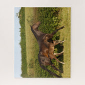 Bob Langrish | Warmblut und Foal Walking Puzzle (Vertikal)