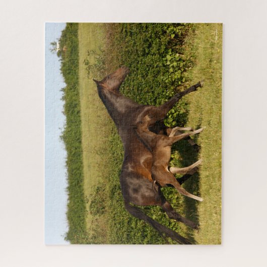Bob Langrish | Warmblut und Foal Walking Puzzle (Vertikal)