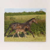 Bob Langrish | Warmblut und Foal Walking Puzzle (Horizontal)