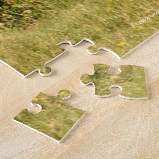 Bob Langrish | Warmblut und Foal Walking Puzzle (Seite)