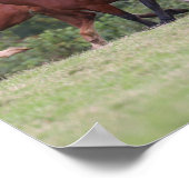 Bob Langrish Welsh Ponies Running Mares and Foals Poster (Ecke)