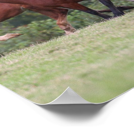 Bob Langrish Welsh Ponies Running Mares and Foals Poster (Ecke)