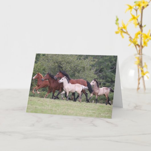 Bob Langrish Welsh Ponies Running Mares und Foals Karte (Gelbe Blume)