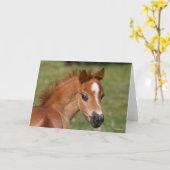 Bob Langrish | Welsh Pony Foal Headshot Karte (Gelbe Blume)