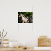 Bob Langrish | Welsh Pony Mare and Foal Headshot Poster (Küche)