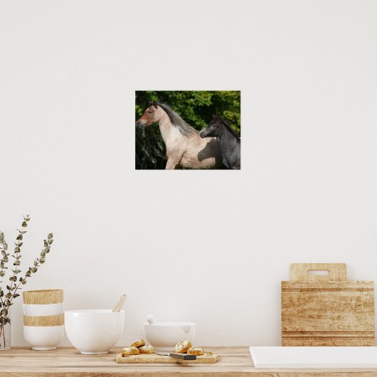 Bob Langrish | Welsh Pony Mare and Foal Headshot Poster (Küche)