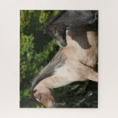 Bob Langrish | Welsh Pony Mare and Foal Headshot Puzzle (Vertikal)