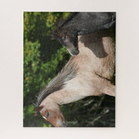 Bob Langrish | Welsh Pony Mare and Foal Headshot Puzzle (Vertikal)
