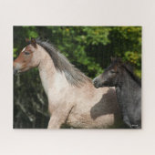 Bob Langrish | Welsh Pony Mare and Foal Headshot Puzzle (Horizontal)